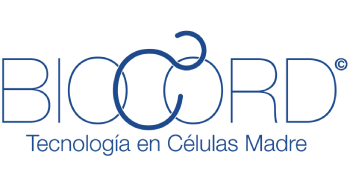 Proyecto nuevo (28)